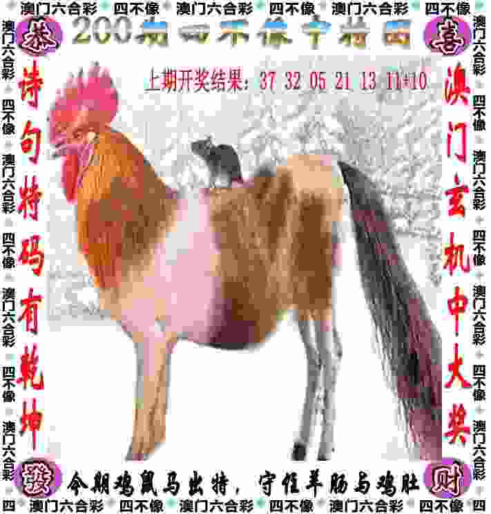 >管家婆一肖一码王中王